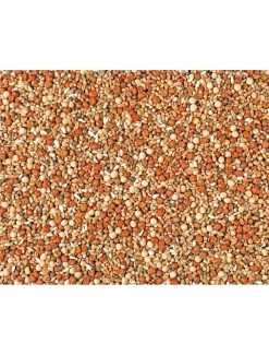 JONGE DUIVEN MAXI NATURAL P30 | Worldofanimals.nl Heeft Het!