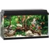 Juwel Aquarium Primo 60 | Worldofanimals.nl Heeft Het! -Huisdierbenodigdheden Verkoopwinkel juwel aquarium primo 60