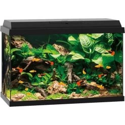 Juwel Aquarium Primo 70 | Worldofanimals.nl Heeft Het!