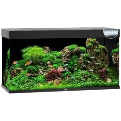 Juwel Aquarium Rio 350 Led | Worldofanimals.nl Heeft Het!