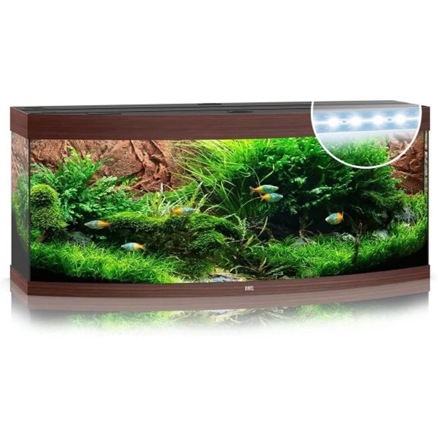 Juwel Aquarium Vision 450 Led | Worldofanimals.nl Heeft Het! 3 Juwel Aquarium Vision 450 Led | Worldofanimals.nl Heeft Het!