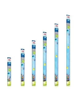 Juwel Led Lamp Blue 12w | Worldofanimals.nl Heeft Het!