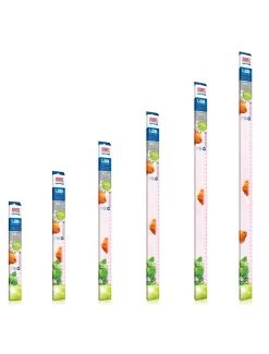 Juwel Led Lamp Colour 31w | Worldofanimals.nl Heeft Het!