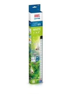 Juwel Novolux Led 60 | Worldofanimals.nl Heeft Het!