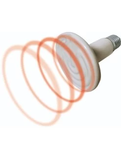 Flamingo Keramische Lamp Helios - 150w | Worldofanimals.nl Heeft Het! -Huisdierbenodigdheden Verkoopwinkel keramische lamp helios 150w 2