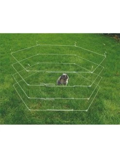 Flamingo Knaagdierpark 60 X 60 Cm / Dia. 120 | Worldofanimals.nl Heeft Het! 5 Flamingo Knaagdierpark 60 X 60 Cm / Dia. 120 | Worldofanimals.nl Heeft Het! -Huisdierbenodigdheden Verkoopwinkel knaagdierpark 60 x 60 cm dia 120 1