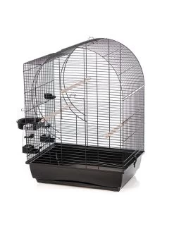 Duvo Kooi Elizabeth | Worldofanimals.nl Heeft Het!