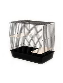 Duvo Kooi Franky | Worldofanimals.nl Heeft Het!