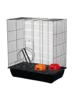 Duvo Kooi Fritz | Worldofanimals.nl Heeft Het!