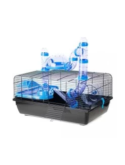 Duvo Kooi Jerry 1 Met Panorama | Worldofanimals.nl Heeft Het!