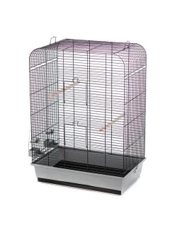 Duvo Kooi Nina | Worldofanimals.nl Heeft Het!