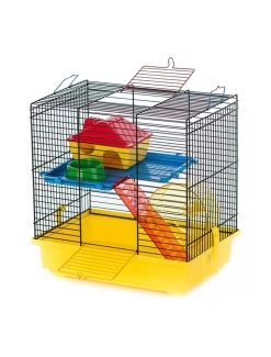 Duvo Kooi Teddy 1 Color | Worldofanimals.nl Heeft Het!