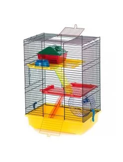 Duvo Kooi Teddy 2 Color | Worldofanimals.nl Heeft Het!