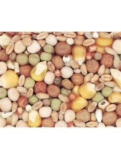 KWEEK SPORT DUVO-DECO P30 | Worldofanimals.nl Heeft Het!