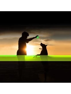 Duvo Led Flash Bal 10cm Groen -Huisdierbenodigdheden Verkoopwinkel led flash bal 10cm groen 1