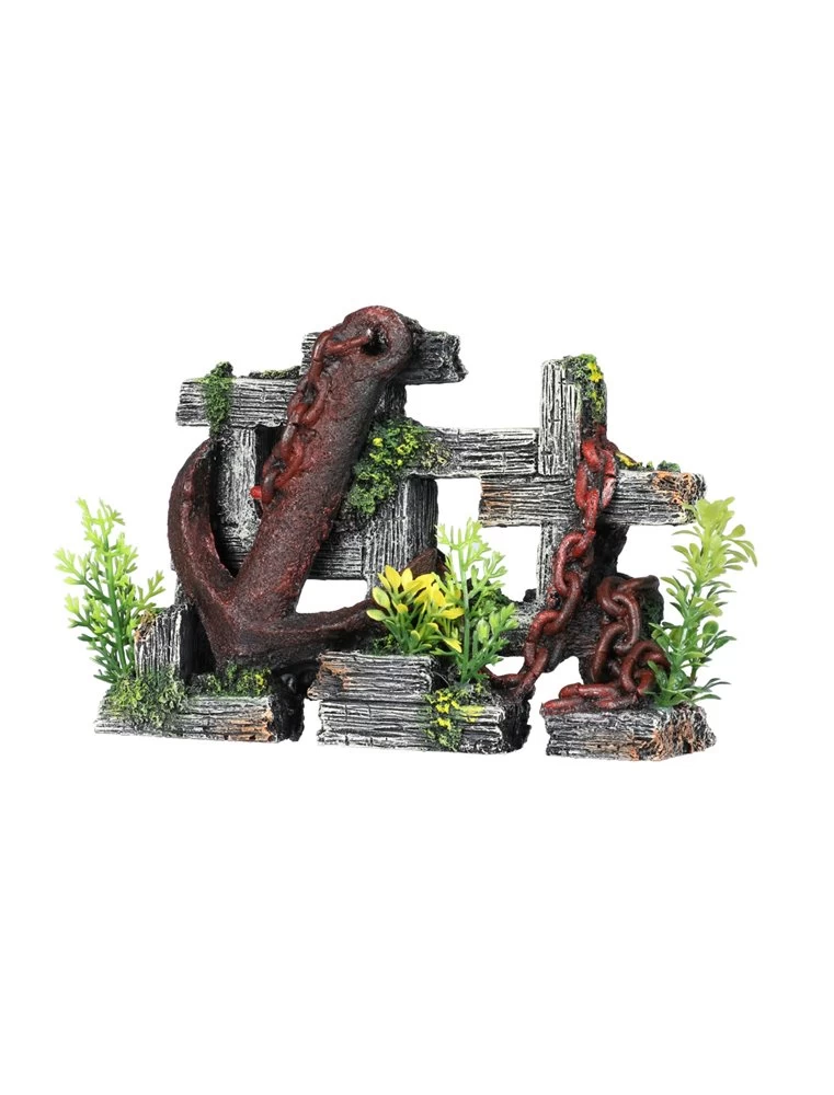 Lost Anchor | Worldofanimals.nl Heeft Het! 3 Lost Anchor | Worldofanimals.nl Heeft Het!