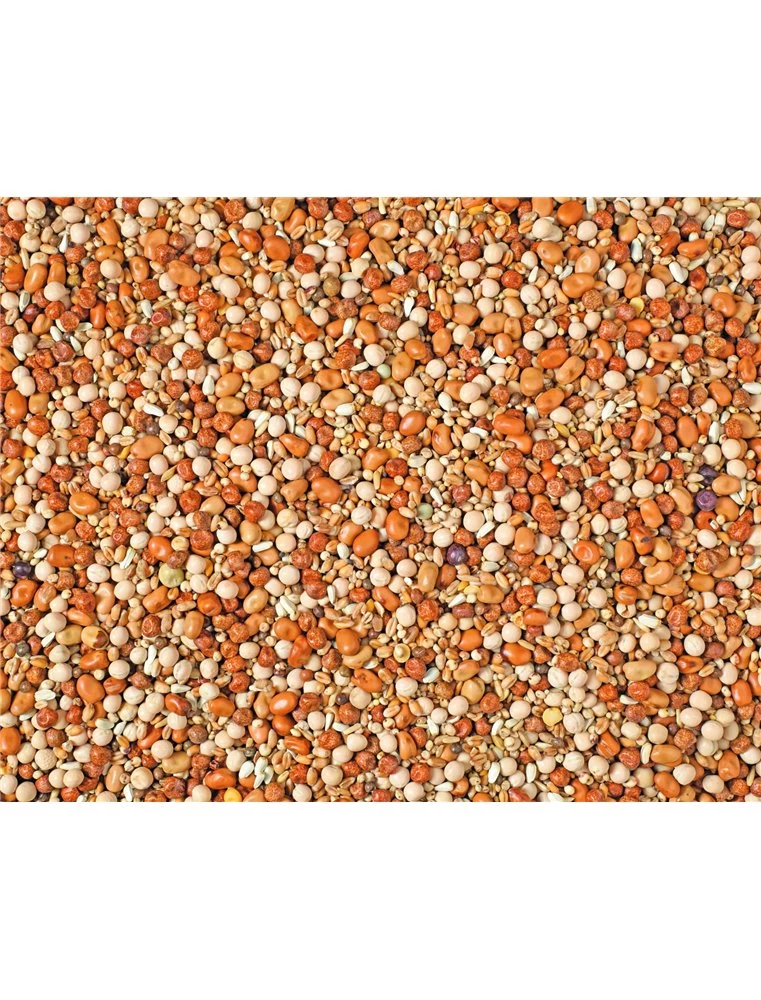 LUIKSE MENGELING NATURAL P30 | Worldofanimals.nl Heeft Het! 3 LUIKSE MENGELING NATURAL P30 | Worldofanimals.nl Heeft Het!