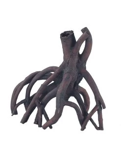 Mangrove | Worldofanimals.nl Heeft Het!