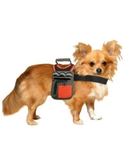 Flamingo Multifunc Rugzak Stanley Gr/or M | Worldofanimals.nl Heeft Het! 6 Flamingo Multifunc Rugzak Stanley Gr/or M | Worldofanimals.nl Heeft Het! -Huisdierbenodigdheden Verkoopwinkel multifunc rugzak stanley gr or m 1