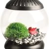 Flamingo Nano Aquarium Sphere 5l | Worldofanimals.nl Heeft Het! 1 Flamingo Nano Aquarium Sphere 5l | Worldofanimals.nl Heeft Het! -Huisdierbenodigdheden Verkoopwinkel nano aquarium sphere 5l