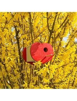 FERPLAST Natura Fun 1 Houten Vogelhuis -Huisdierbenodigdheden Verkoopwinkel natura fun 1 houten vogelhuis 3