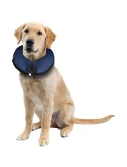 Flamingo Opblaasbare Hondenkraag L | Worldofanimals.nl Heeft Het! -Huisdierbenodigdheden Verkoopwinkel opblaasbare hondenkraag l 1