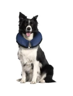 Flamingo Opblaasbare Hondenkraag M | Worldofanimals.nl Heeft Het! -Huisdierbenodigdheden Verkoopwinkel opblaasbare hondenkraag m 1