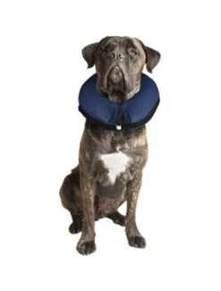 Flamingo Opblaasbare Hondenkraag Xl | Worldofanimals.nl Heeft Het! -Huisdierbenodigdheden Verkoopwinkel opblaasbare hondenkraag xl 1