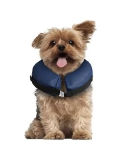 Flamingo Opblaasbare Hondenkraag Xs | Worldofanimals.nl Heeft Het! -Huisdierbenodigdheden Verkoopwinkel opblaasbare hondenkraag xs 1