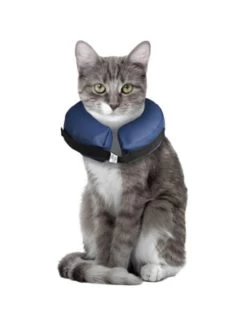 Flamingo Opblaasbare Hondenkraag Xs | Worldofanimals.nl Heeft Het! -Huisdierbenodigdheden Verkoopwinkel opblaasbare hondenkraag xs 3