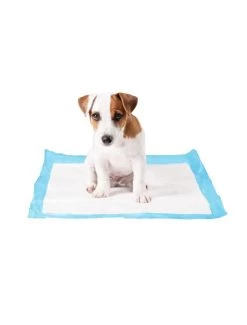 Duvo P-Pad Large | Worldofanimals.nl Heeft Het!