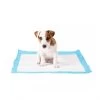 Duvo P-Pad X-Large Met Kleefstrip | Worldofanimals.nl Heeft Het! -Huisdierbenodigdheden Verkoopwinkel p pad x large met kleefstrip