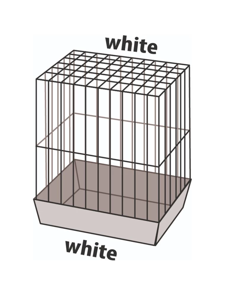 Flamingo Parkietenkooi Klara 2 Wit 45x28x62,5cm | Worldofanimals.nl Heeft Het! 5 Flamingo Parkietenkooi Klara 2 Wit 45x28x62,5cm | Worldofanimals.nl Heeft Het! - Afbeelding 3