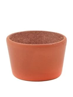 Duvo Piksteen In Pot | Worldofanimals.nl Heeft Het!