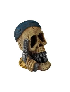 Pirate Skull Pistol Hand | Worldofanimals.nl Heeft Het!