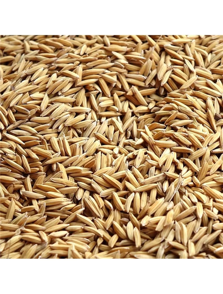 Duvo RIJST PADY DUIVEN | Worldofanimals.nl Heeft Het! 3 Duvo RIJST PADY DUIVEN | Worldofanimals.nl Heeft Het!