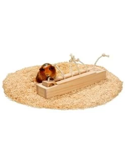 Flamingo Rody Brain Train Kast - 6 Blokken | Worldofanimals.nl Heeft Het! -Huisdierbenodigdheden Verkoopwinkel rody brain train kast 6 blokken 2