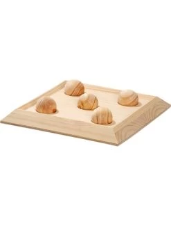 Flamingo Rody Brain Train Plaat - 5 Kogels | Worldofanimals.nl Heeft Het!