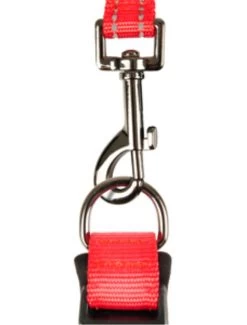 Flamingo Rover Halsband Ultar Ro 40/45cm 25mm | Worldofanimals.nl Heeft Het! -Huisdierbenodigdheden Verkoopwinkel rover halsb ultar ro 40 45cm 25mm 2