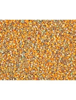 RUI MAXI 2M POPCORN NATURAL | Worldofanimals.nl Heeft Het!