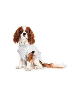 Flamingo Safety Body Grijs 26 Cm | Worldofanimals.nl Heeft Het!