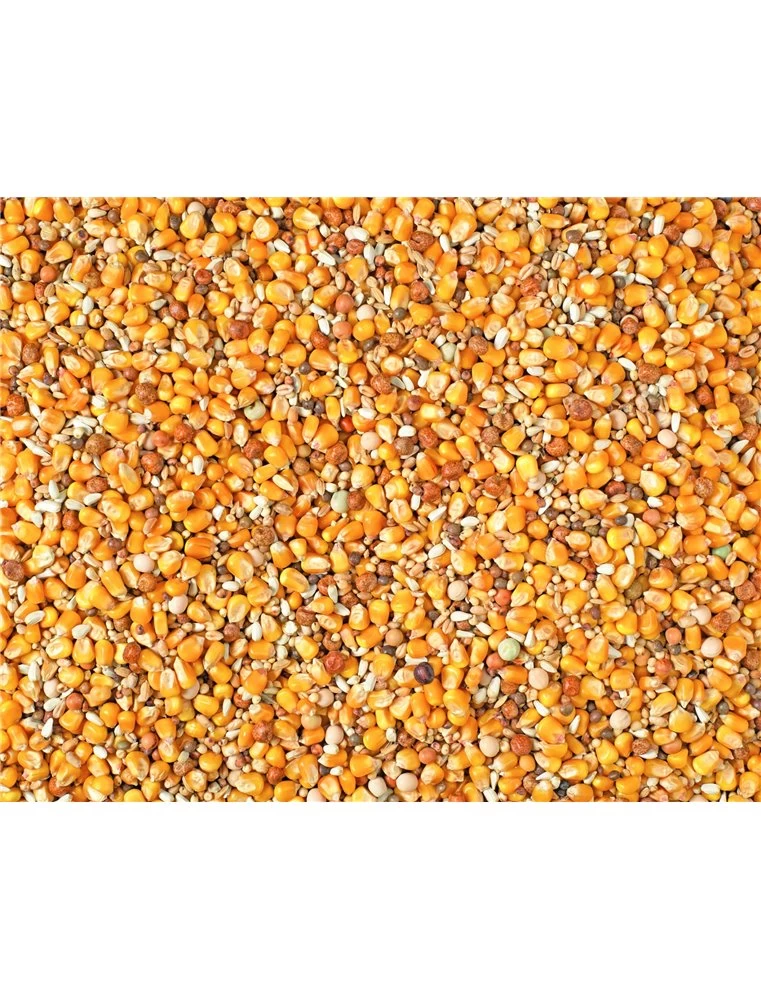 SPORT MAXI 2M CRIBS NATURAL | Worldofanimals.nl Heeft Het! 4 SPORT MAXI 2M CRIBS NATURAL | Worldofanimals.nl Heeft Het! - Afbeelding 2