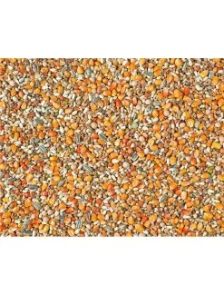 SPORT MAXI 2M POPCORN NATURAL | Worldofanimals.nl Heeft Het! -Huisdierbenodigdheden Verkoopwinkel sport maxi 2m popcorn natural 1