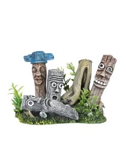 Surf | Worldofanimals.nl Heeft Het!