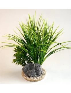 Sydeco Acorus Rock | Worldofanimals.nl Heeft Het!