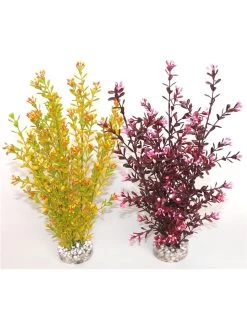 Sydeco Flowering | Worldofanimals.nl Heeft Het!