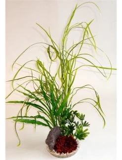 Sydeco Lily Grass Rock | Worldofanimals.nl Heeft Het!