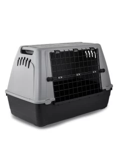 Duvo Transportbox Auto Baron | Worldofanimals.nl Heeft Het!