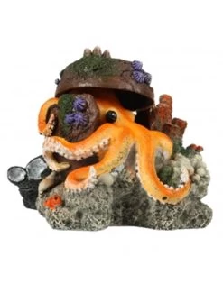 Verdwaalde Octopus 15,5x12,5x11cm
