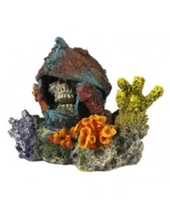 Verdwaalde Schedel 15,5x12x12cm